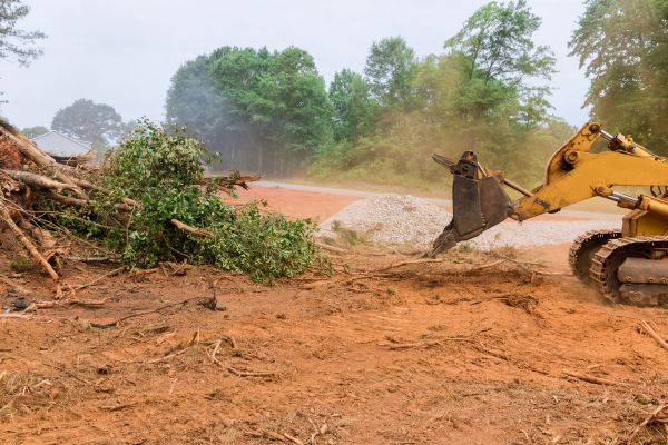 Ground Clearing in Tracy