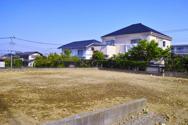 Cost of Lot Clearing Service in Tracy