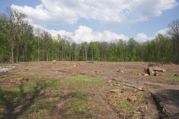 Cost of Pasture Clearing in Tracy
