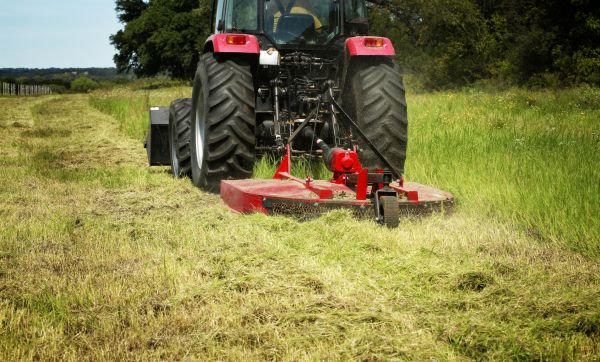 Brush Clearing Service in Tracy