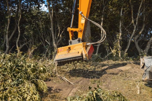 Brush Removal Service in Tracy
