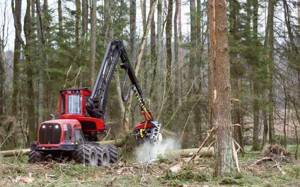 Cost of Forest Clearance Service in Tracy