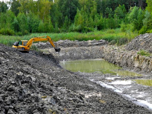 Cost of Lake Lot Clearing in Tracy