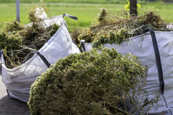 Cost of Bushes Clearing in Tracy