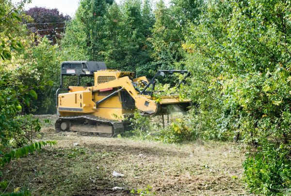 Cost of Pathway Clearing in Tracy