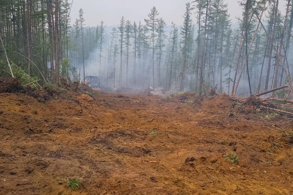 Cost of Hill Clearing in Tracy