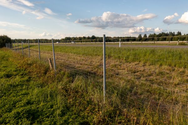 Cost of Property Line Clearing in Tracy
