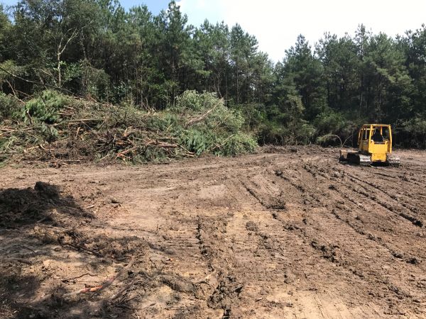 Cost of Thicket Clearing in Tracy