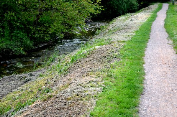 Cost of Trail Cutting in Tracy
