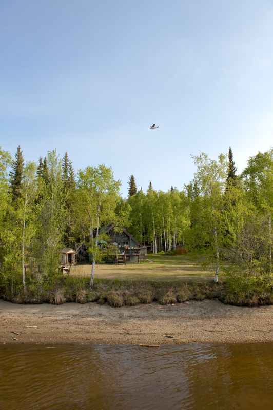 Site Clearing Service detail