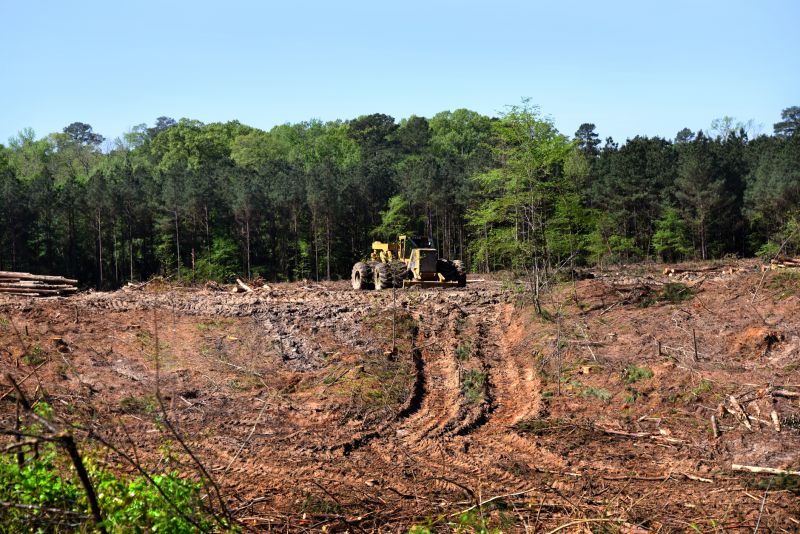 Land Preparation for Construction